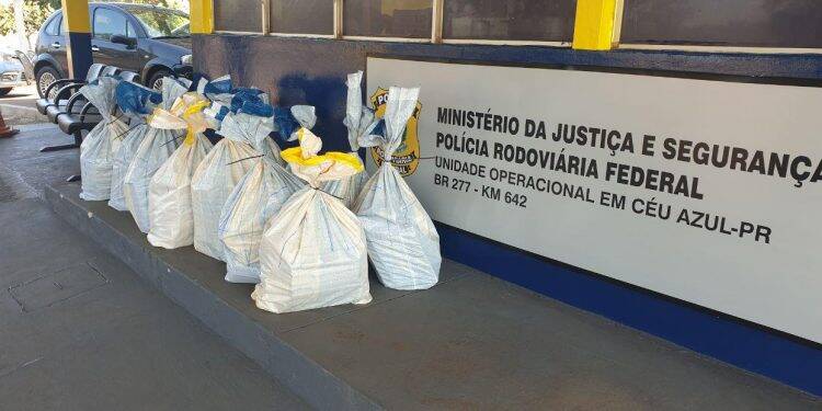 Adolescente é flagrado dirigindo carro roubado com mais de 300 quilos de maconha