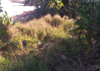 Motos furtadas são encontradas na barranca do Rio Paraná prontas para serem levadas ao Paraguai