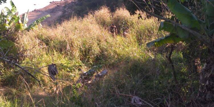 Motos furtadas são encontradas na barranca do Rio Paraná prontas para serem levadas ao Paraguai