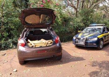 PRF prende homem com 85 quilos de maconha em carro roubado em Santa Terezinha