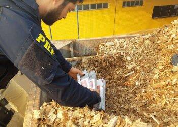 PRF descobre 400 mil carteiras de cigarro sob carga de resíduos de eucalipto