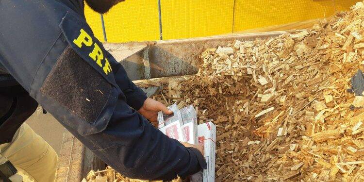 PRF descobre 400 mil carteiras de cigarro sob carga de resíduos de eucalipto