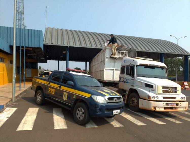 PRF descobre 400 mil carteiras de cigarro sob carga de resíduos de eucalipto