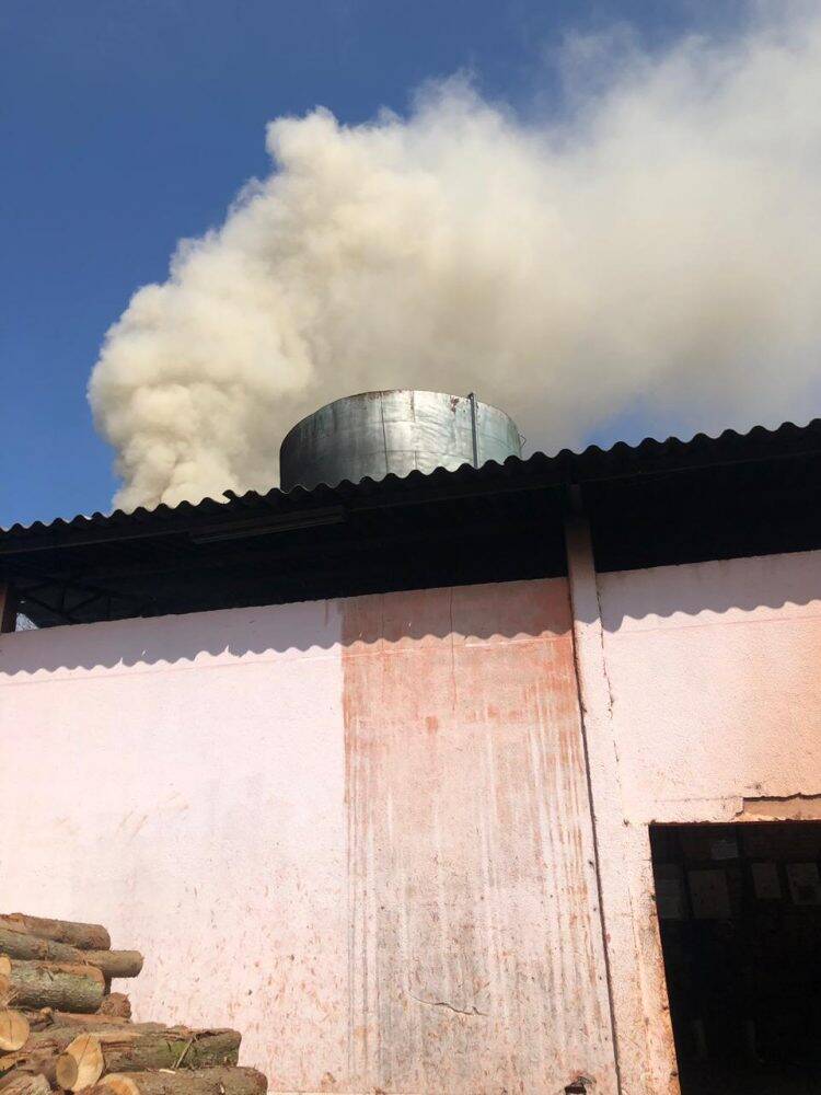 Polícia Civil incinera mais de 3 toneladas de drogas