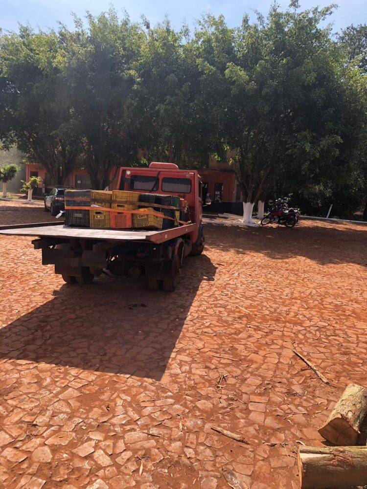 Polícia Civil incinera mais de 3 toneladas de drogas