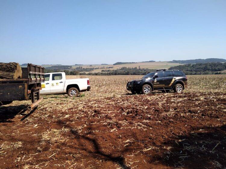 Polícia Federal e ICMBIO flagram desmatamento no Parque Nacional do Iguaçu