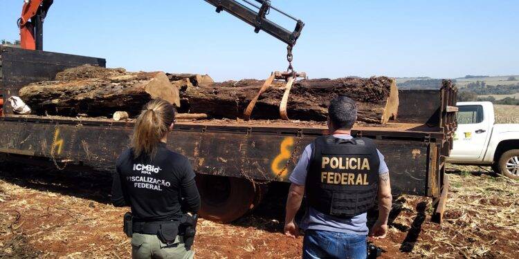 Polícia Federal e ICMBIO flagram desmatamento no Parque Nacional do Iguaçu
