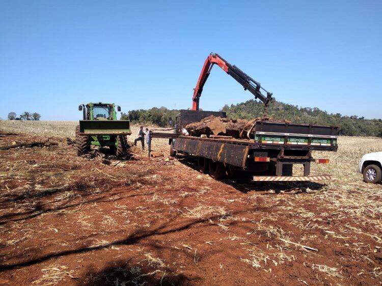 Polícia Federal e ICMBIO flagram desmatamento no Parque Nacional do Iguaçu
