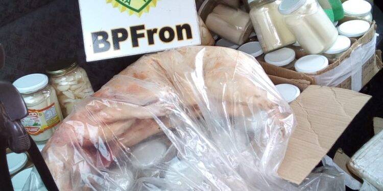 Homem é preso com paca abatida, além de palmito nativo no sudoeste