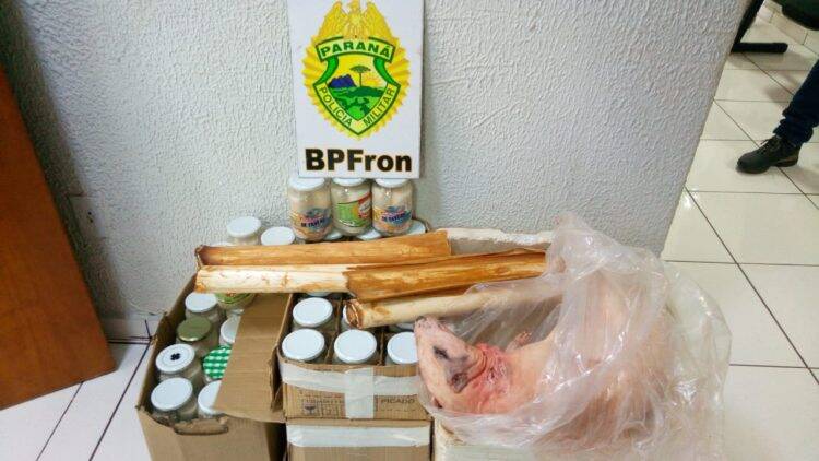 Homem é preso com paca abatida, além de palmito nativo no sudoeste