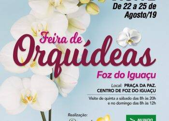 Feira de orquídeas na Praça da Paz promove doações de ração para cães e gatos abandonados