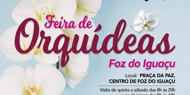 Feira de orquídeas na Praça da Paz promove doações de ração para cães e gatos abandonados