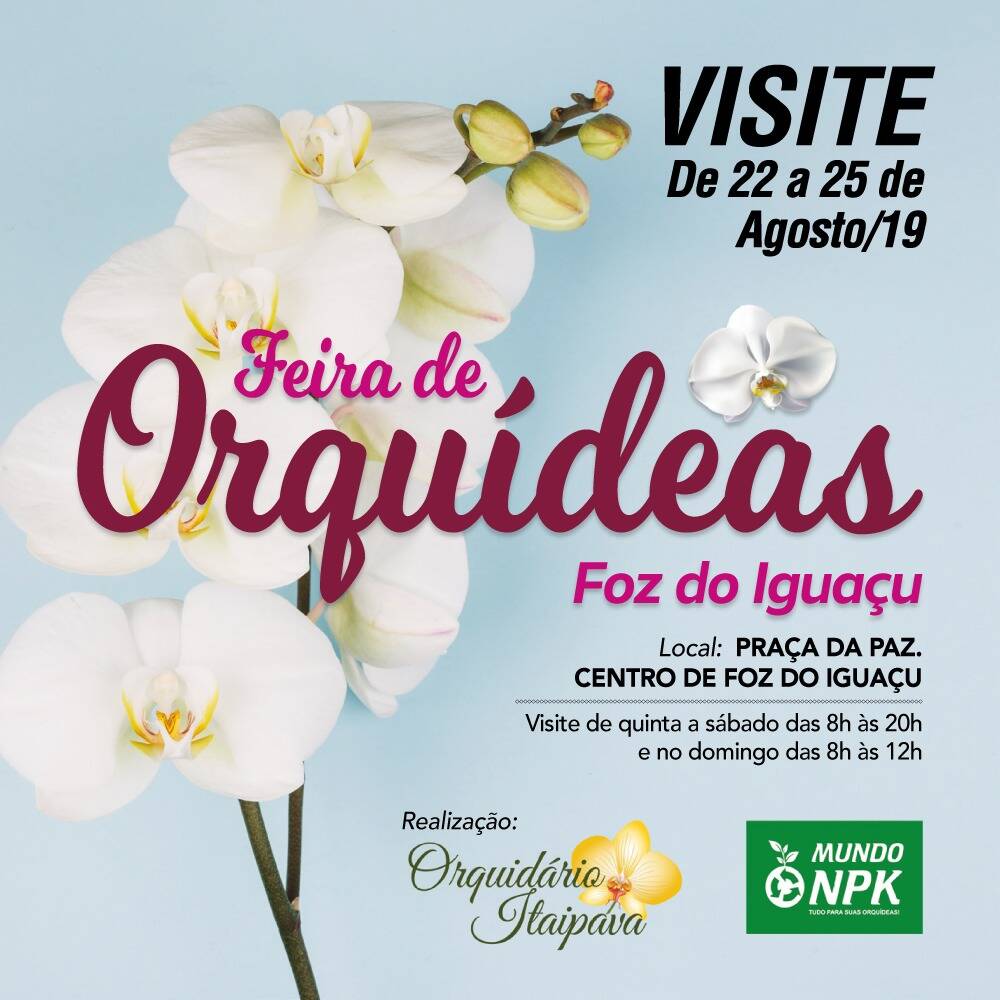 Feira de orquídeas na Praça da Paz promove doações de ração para cães e  gatos abandonados – Rádio Cultura Foz – AM 820