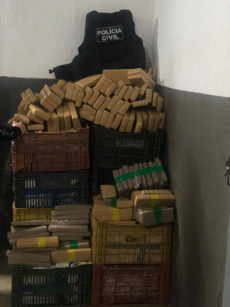 Polícia Civil do Paraná apreende quase 8 toneladas de maconha em quatro dias; duas foram em Foz