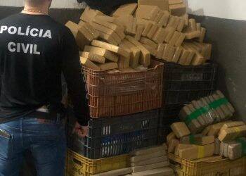 Polícia Civil do Paraná apreende quase 8 toneladas de maconha em quatro dias; duas foram em Foz