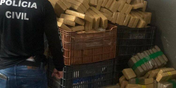 Polícia Civil do Paraná apreende quase 8 toneladas de maconha em quatro dias; duas foram em Foz