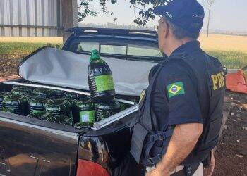 PRF apreende 1000 litros de azeites importados irregularmente