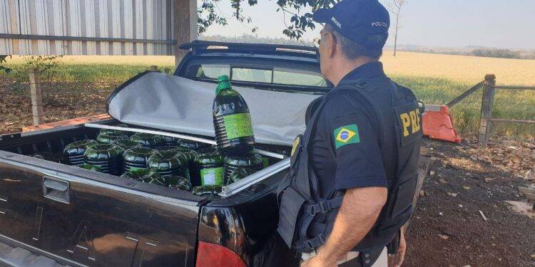 PRF apreende 1000 litros de azeites importados irregularmente