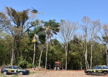 Com ajuda de helicóptero, PRF e Polícia Civil encontram caminhão com cigarro em meio à mata