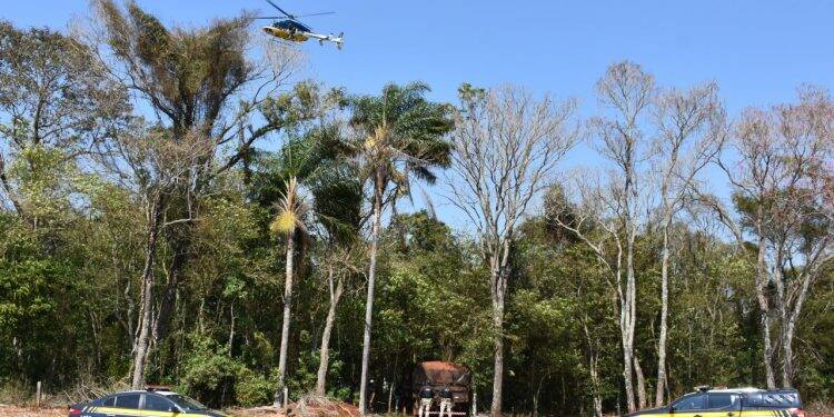 Com ajuda de helicóptero, PRF e Polícia Civil encontram caminhão com cigarro em meio à mata
