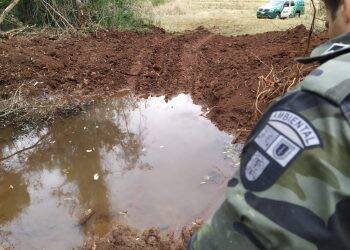 Polícia prende proprietário de área suspeito de desmatar 1,4 hectares de Mata Atlântica, em Ramilândia