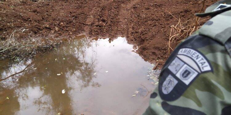 Polícia prende proprietário de área suspeito de desmatar 1,4 hectares de Mata Atlântica, em Ramilândia