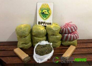 Homem que transportava mais de 14 kg de maconha Gourmet em ônibus é preso