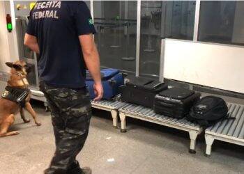 Equipe K9 da Receita Federal reforça fiscalização no aeroporto