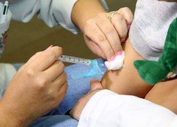 Foz está entre quatro rotas da Febre Amarela identificadas pela Secretaria de Saúde