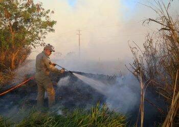 Bombeiros reforçam alertas para evitar queimadas