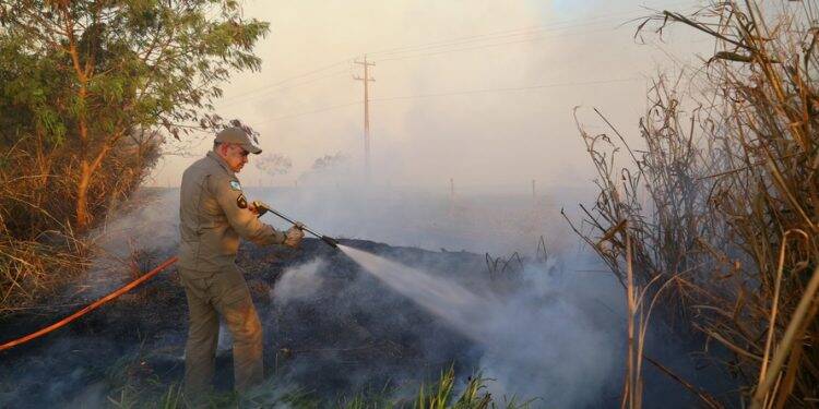 Bombeiros reforçam alertas para evitar queimadas