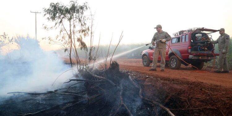 Bombeiros reforçam alertas para evitar queimadas