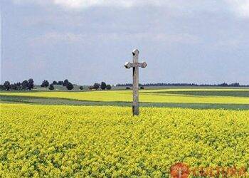 Obituário 13 08 2019