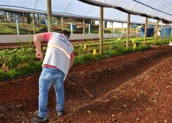 Condenados produzem 10 mil refeições semanais para entidades beneficentes em Foz