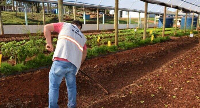 Condenados produzem 10 mil refeições semanais para entidades beneficentes em Foz