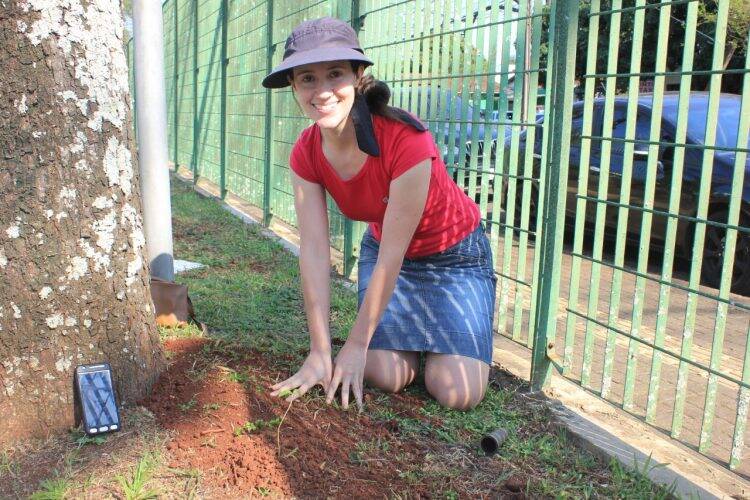 Plantio de Ipês no Hospital Ministro Costa Cavalcanti marca o Dia da Árvore