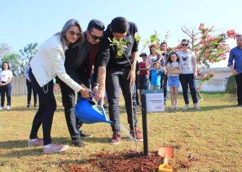 Plantio de Ipês no Hospital Ministro Costa Cavalcanti marca o Dia da Árvore