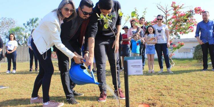 Plantio de Ipês no Hospital Ministro Costa Cavalcanti marca o Dia da Árvore