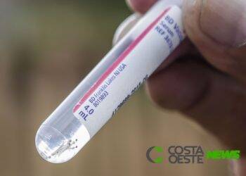 Paraná registra o primeiro caso de Chikungunya no período epidemiológico
