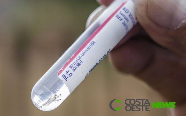 Paraná registra o primeiro caso de Chikungunya no período epidemiológico