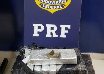 Homem é preso pela PRF após tentar fugir com droga