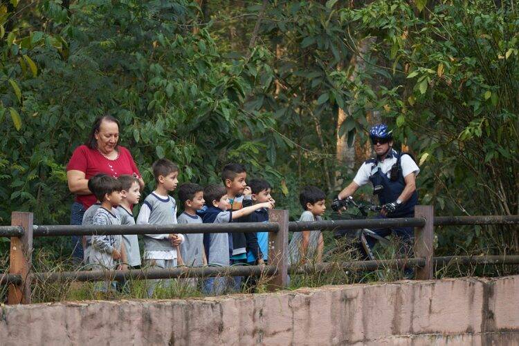 Começa a votação para a escolha dos nomes dos filhotes de onça nascidos na Itaipu