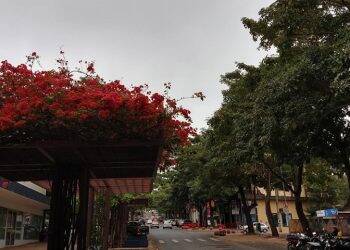 Dia será nublado, com temperatura amena e não há previsão de chuva