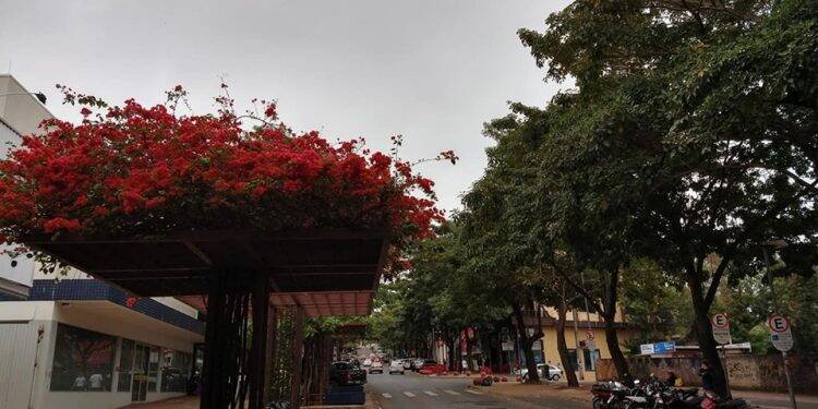 Dia será nublado, com temperatura amena e não há previsão de chuva