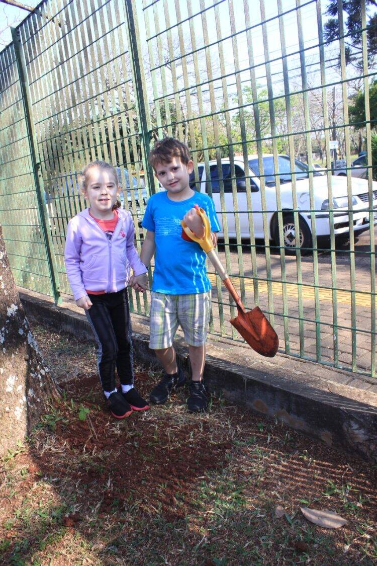 Plantio de Ipês no Hospital Ministro Costa Cavalcanti marca o Dia da Árvore