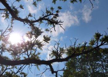 Foz do Iguaçu volta a ter alta temperatura nesse fim de semana