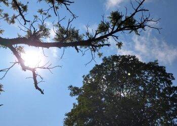 Foz do Iguaçu volta a ter alta temperatura nesse fim de semana