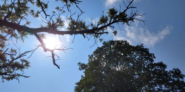 Foz do Iguaçu volta a ter alta temperatura nesse fim de semana