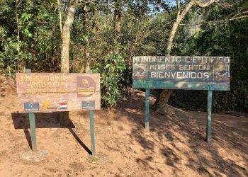 Há 90 anos morria em Foz do Iguaçu o sábio suíço Moisés Bertoni