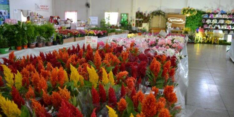 A EcoFlores 2019 começa nesta sexta, 06, e segue até o dia 15